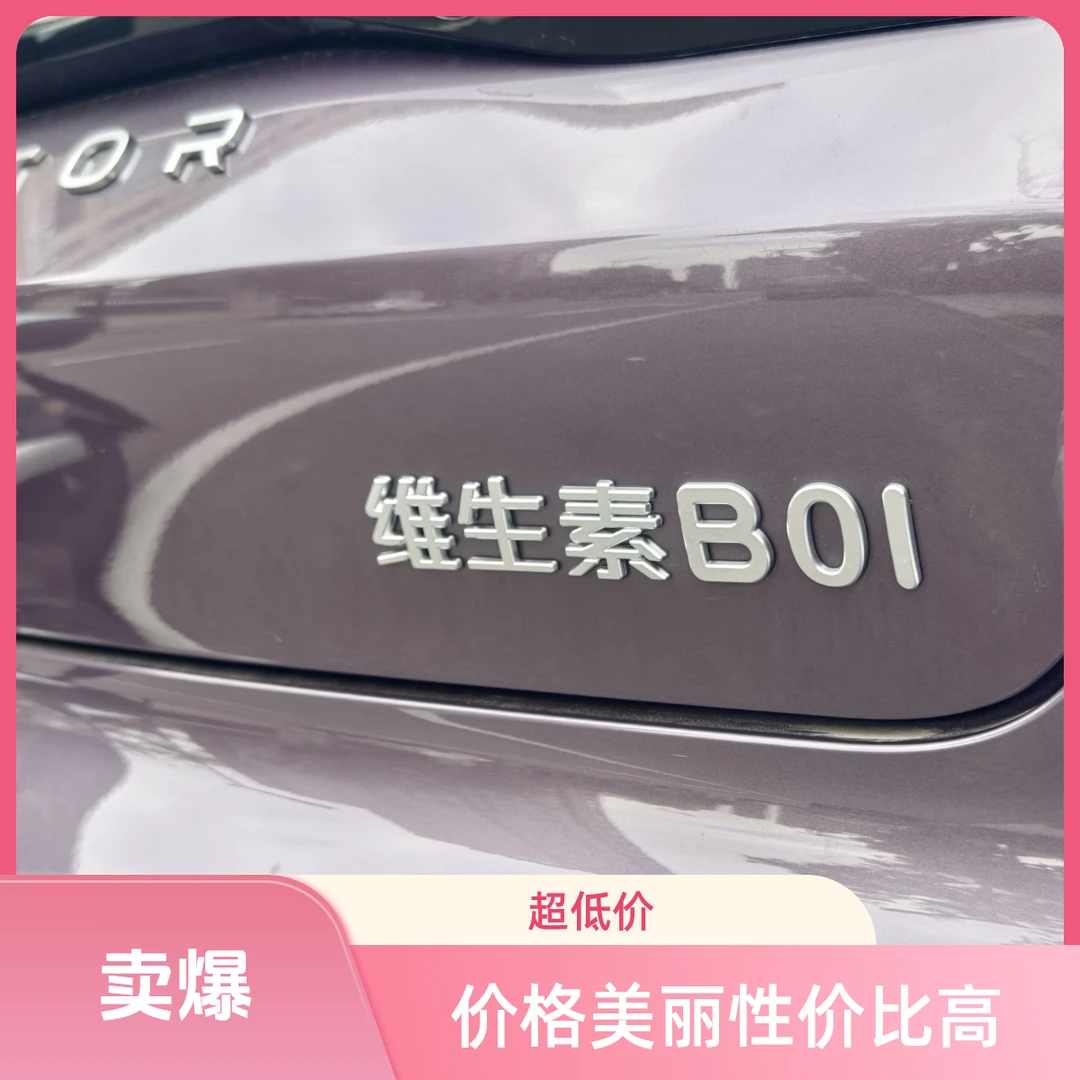 圣诞帽3D立体搞笑创意车尾车标背带裤装饰汽车车贴适用零跑b01