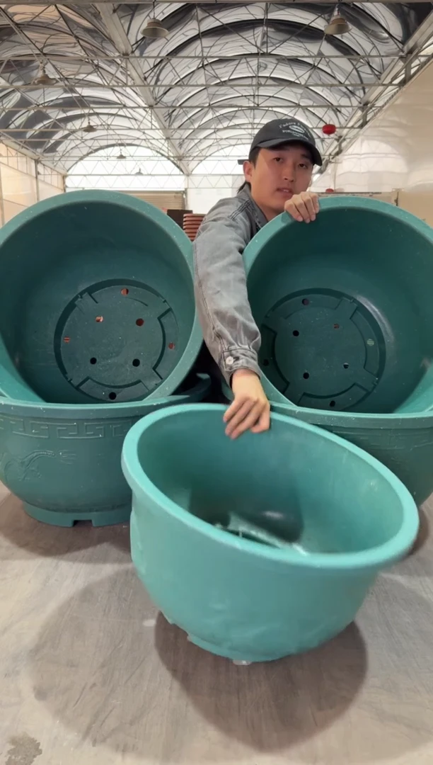 【闪购商品】复合 60铝塑龙盆4，50铝塑龙盆1绿色有孔