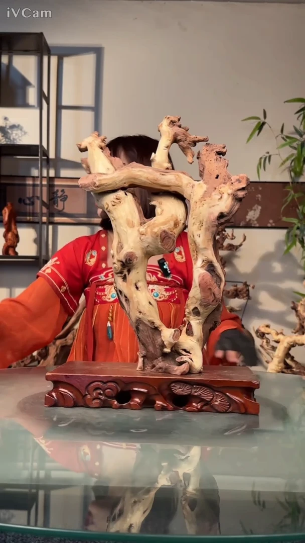 莫*为金丝红木红木322