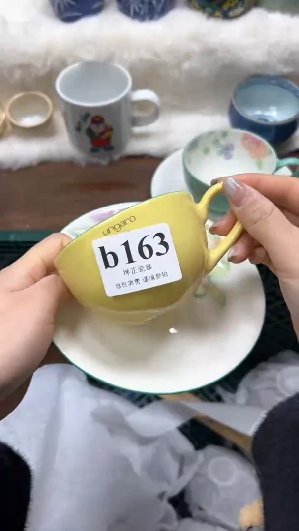【闪购商品】瓷片          b163