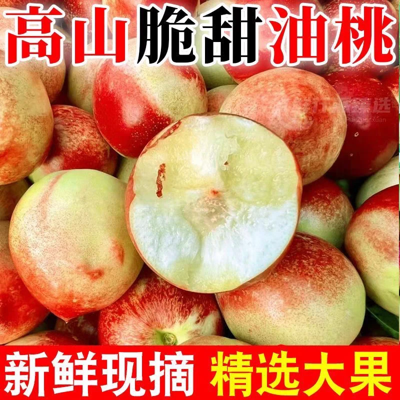 陕西油桃新鲜当季水果脆甜绵密高山采摘现货现发