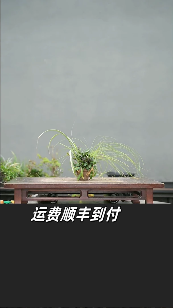 一*?20