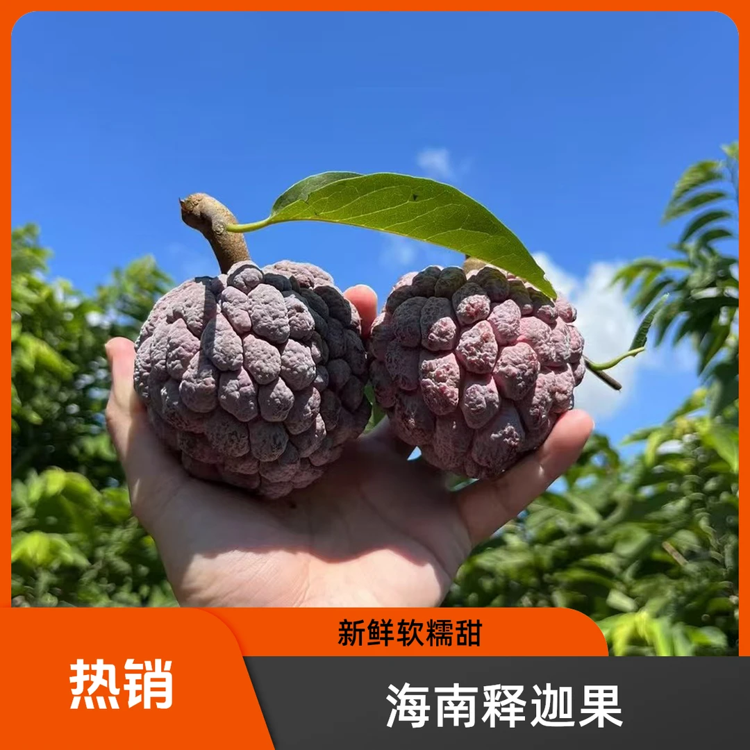 海南新鲜玫瑰释迦果红释迦果香甜软糯热带水果番荔枝顺丰/京东