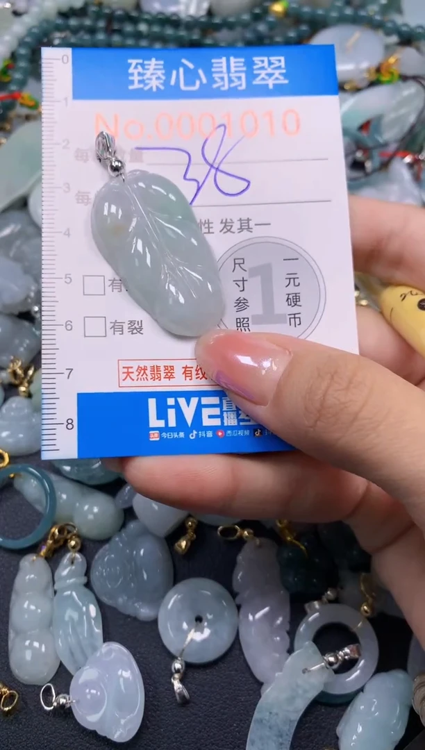 颈饰未镶嵌翡翠1010