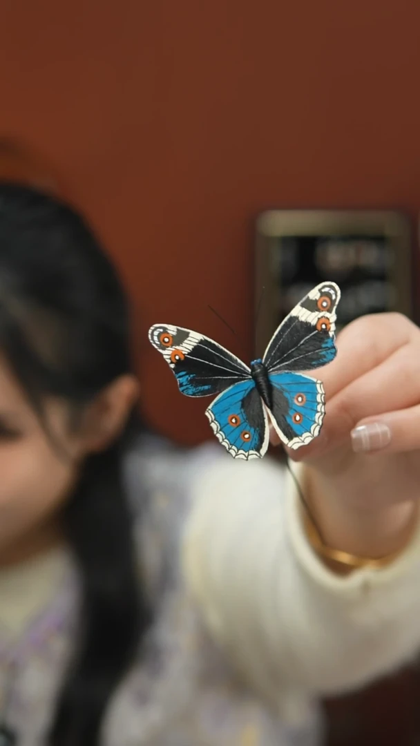 非金属无1号新款手绘蝴蝶 默认主体为边夹