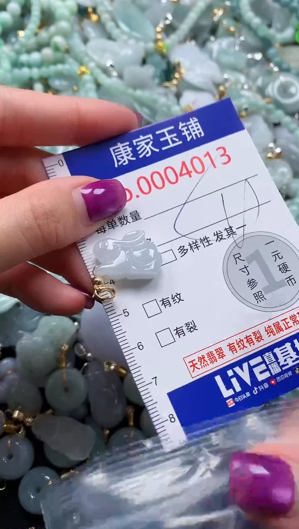 颈饰未镶嵌翡翠4013