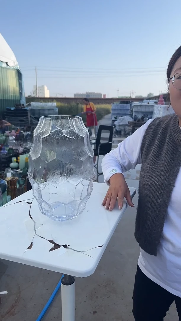 花瓶客厅餐桌插花装饰好物