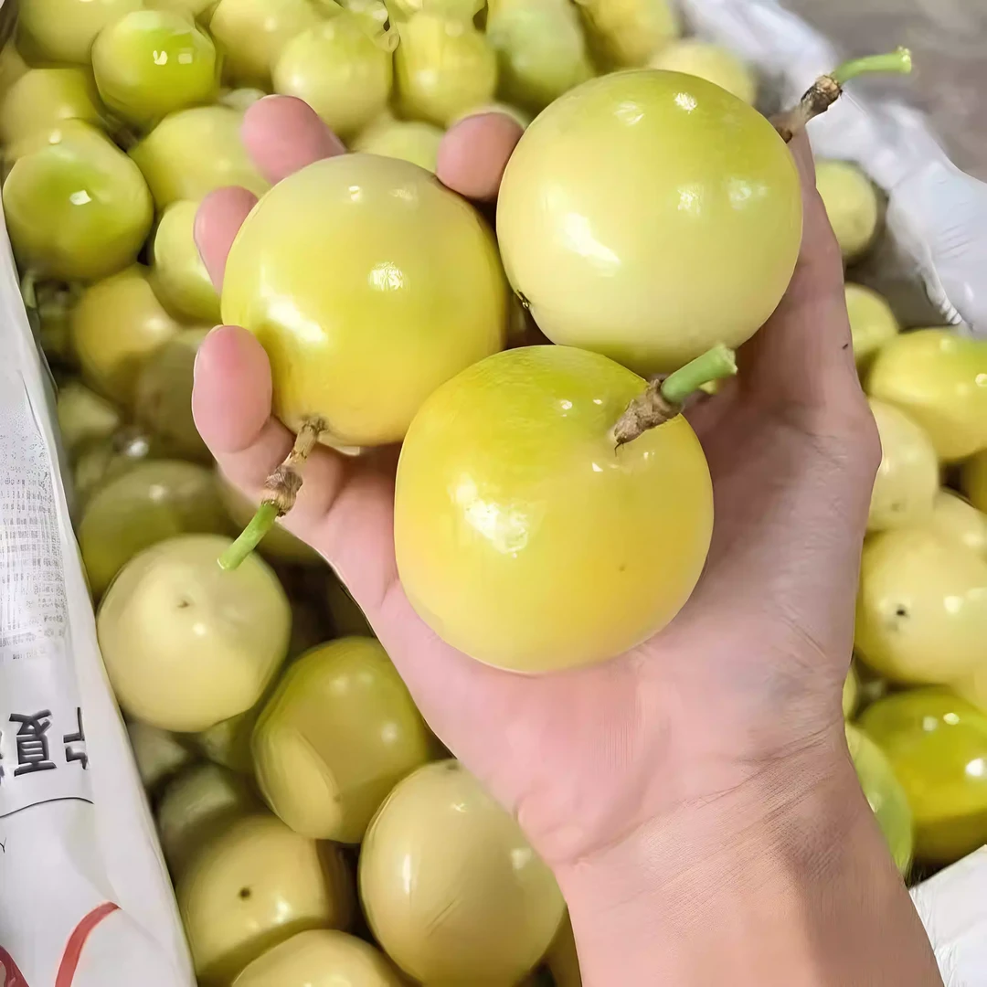 广西钦蜜9号黄金百香果自家果圆新鲜水果现摘发货5斤10斤带箱包邮