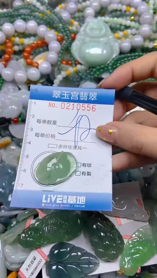 颈饰未镶嵌翡翠闪购C0210556