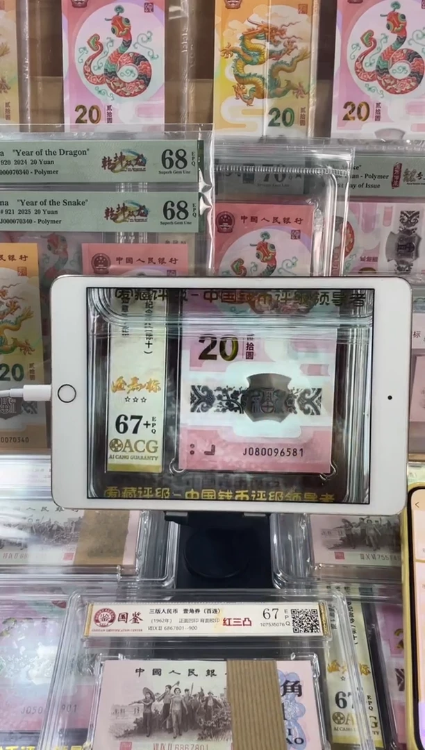 塑料 蛇钞金马王标十67+ 尾 6581-90组