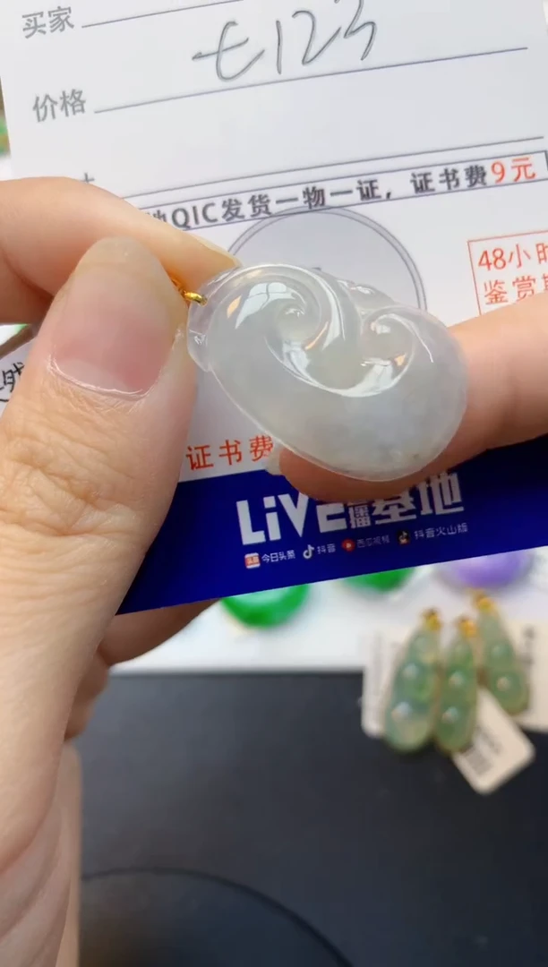 颈饰未镶嵌翡翠天然缅甸A货翡翠