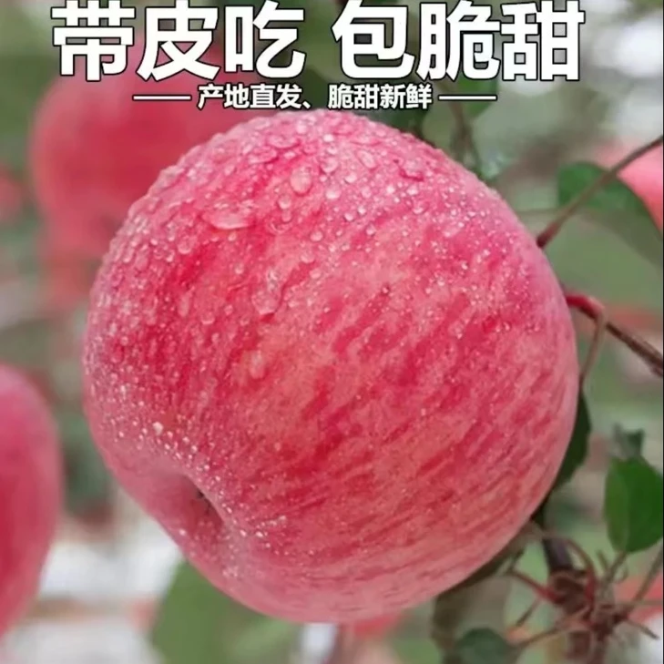 【助农】大礼盒正宗山东烟台栖霞红富士苹果脆甜多汁新鲜产地直发