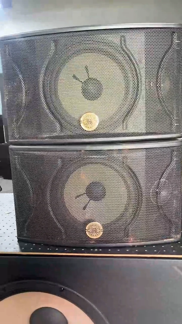 不包邮  10寸卡包音箱  KTV音响 运费到付