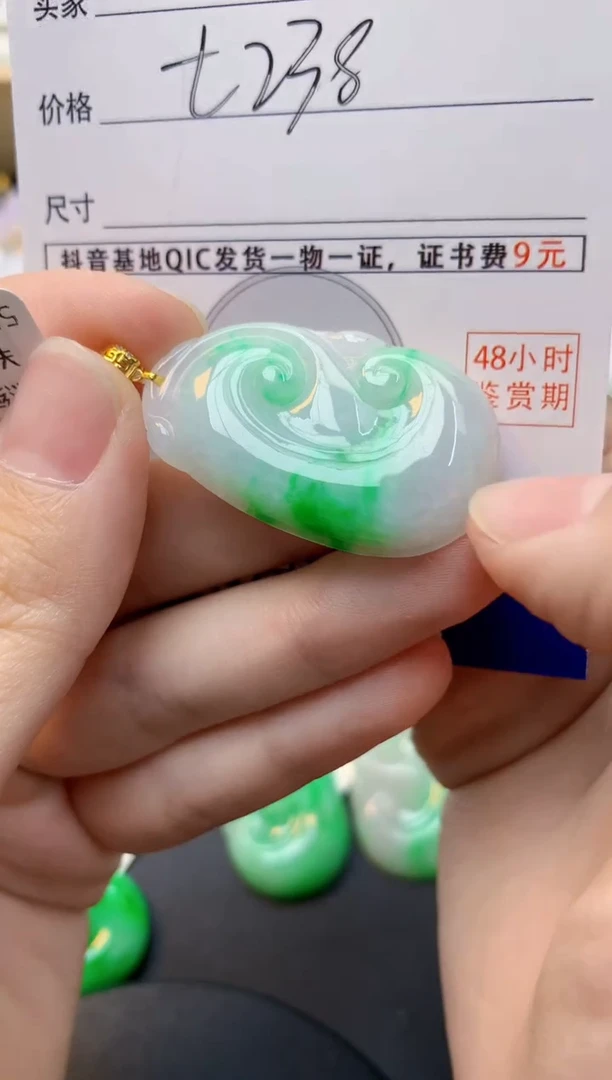 颈饰18K金镶嵌翡翠天然缅甸A货翡翠百元以上9元证书费自理