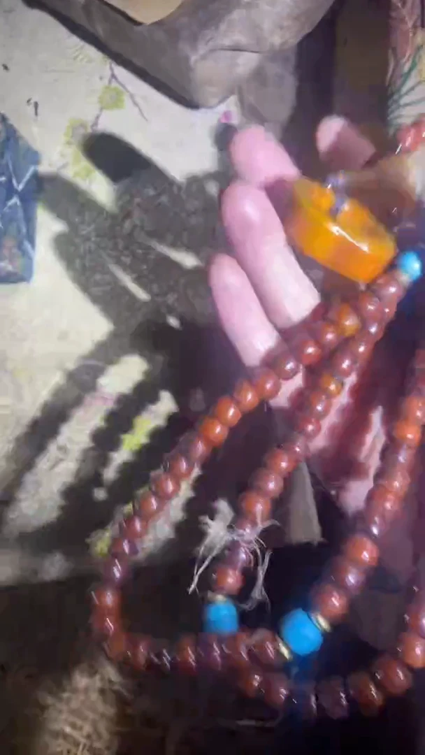 香榧木1111111111111