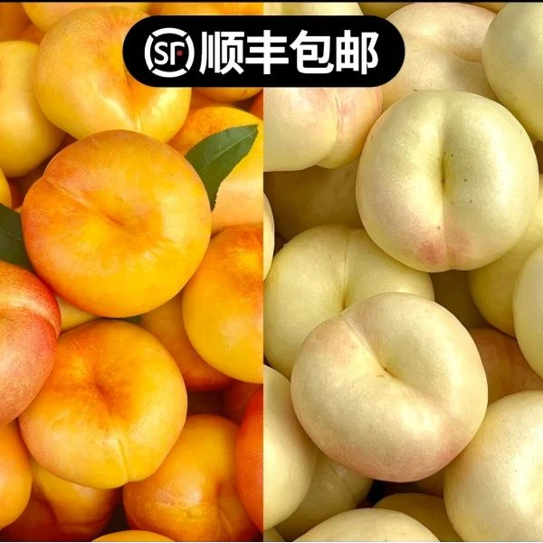 【顺丰包邮】奶油蟠桃+彩虹蟠桃双拼 沂蒙山特产油蟠桃脆甜多汁