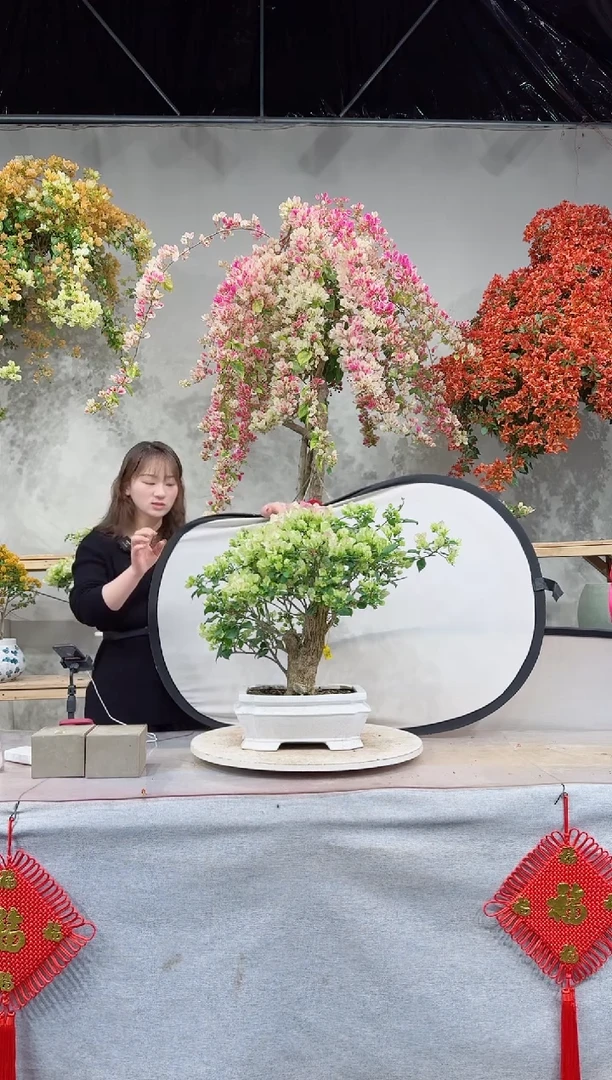 【闪购商品】盆景绿叶樱花