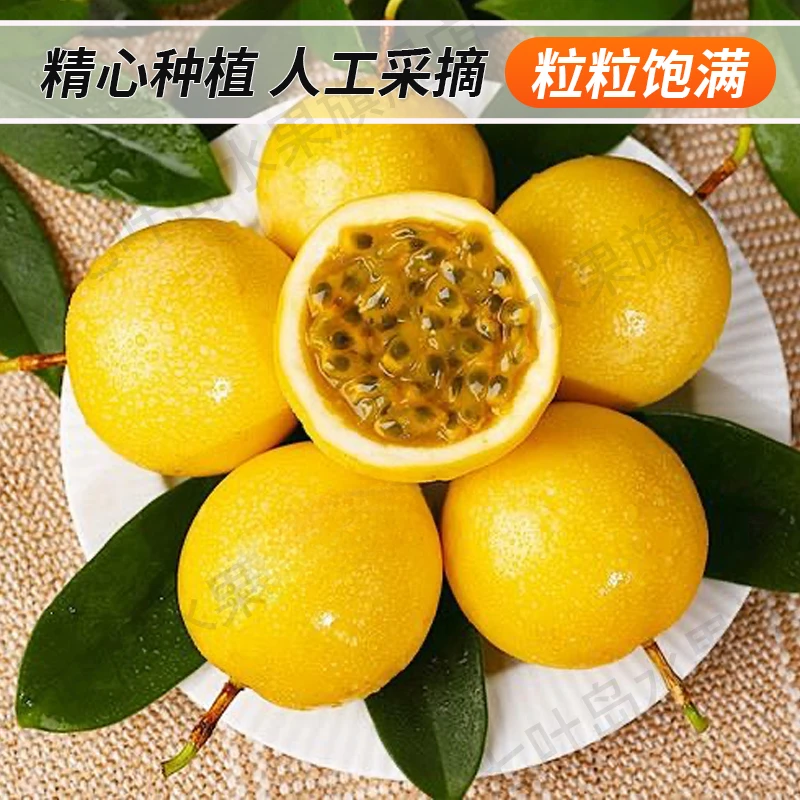 现摘钦蜜9号黄金百香果应季鲜果