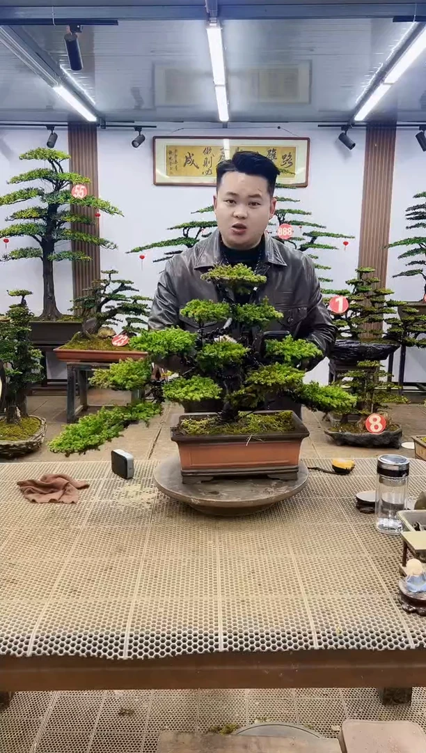 【闪购商品】00000000