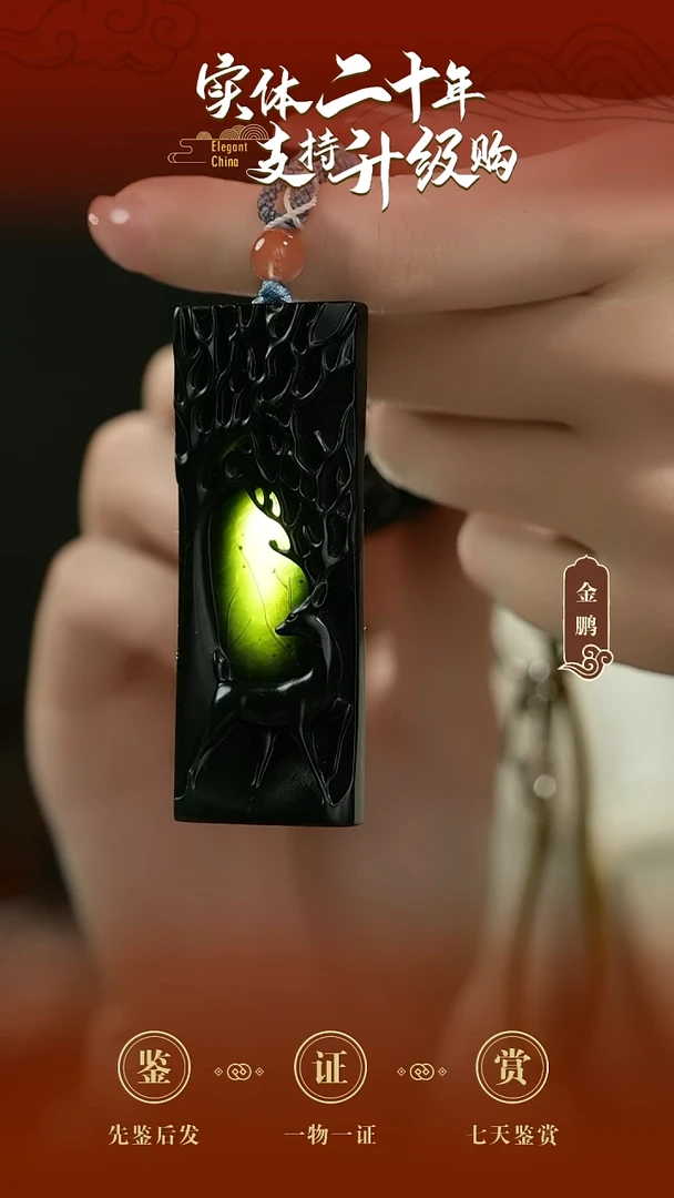 吊坠(赠链)未镶嵌和田玉黑青挂件21.22g