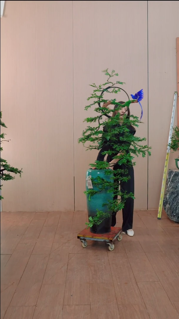 无花朵【闪购链接】98号链接