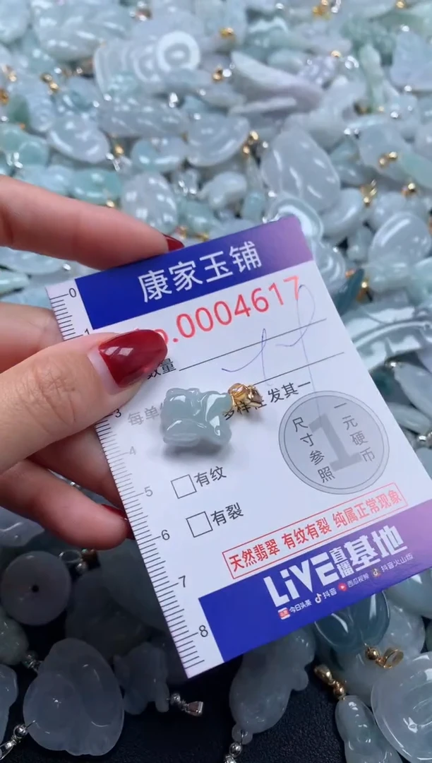 颈饰未镶嵌翡翠4617