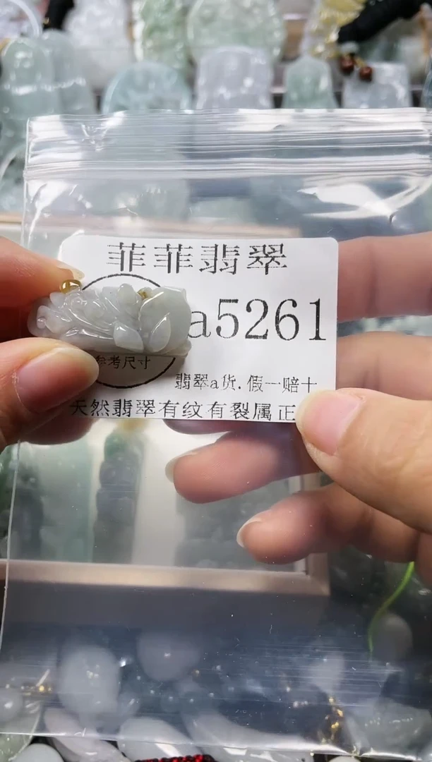 【闪购商品】翡翠颈饰未镶嵌闪购5261