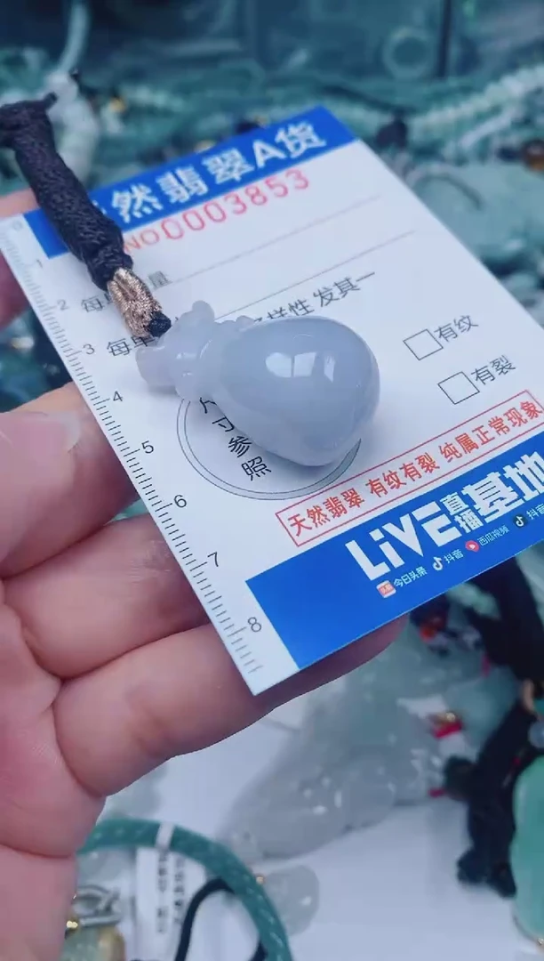 颈饰未镶嵌翡翠00003853