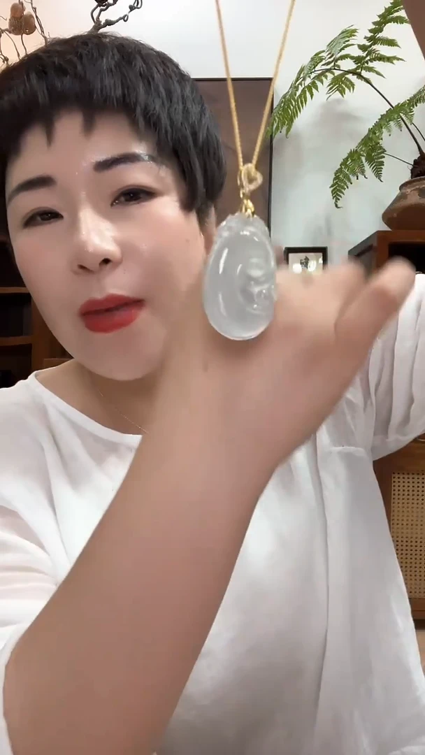 吊坠(赠链)合金翡翠多样性发货282