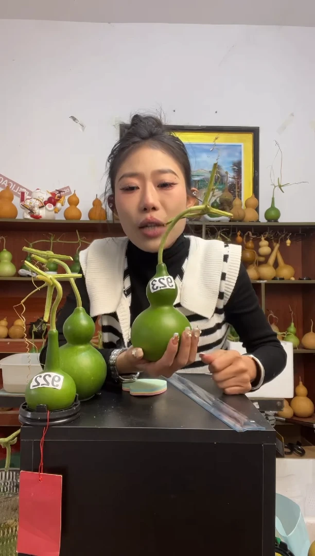 三*子923天然葫芦摆件 一物一拍龙头不保售后