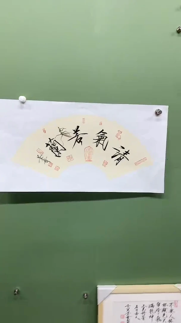 横款精品扇面书法，清气