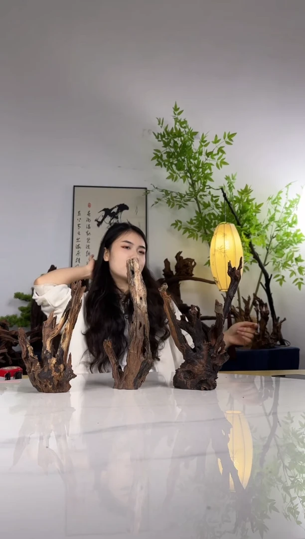 叁*拍这个定向编号79