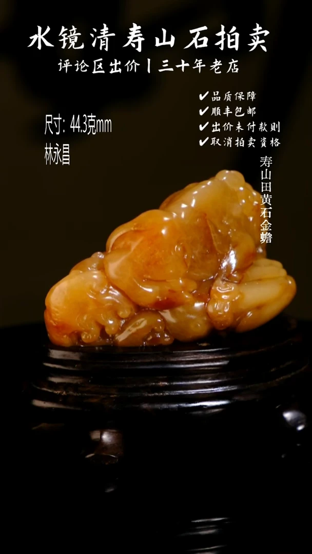 寿山石印石上**风寿山田黄石金蟾