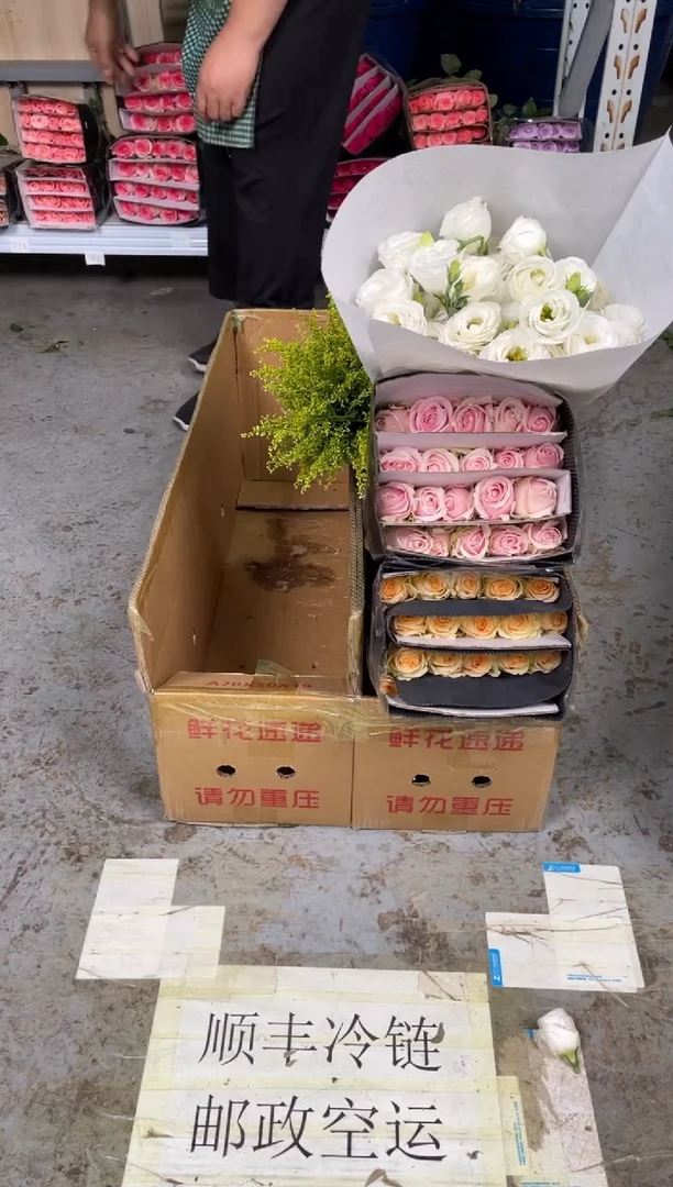 香槟20枝+粉红20枝+白桔梗800枝+黄莺