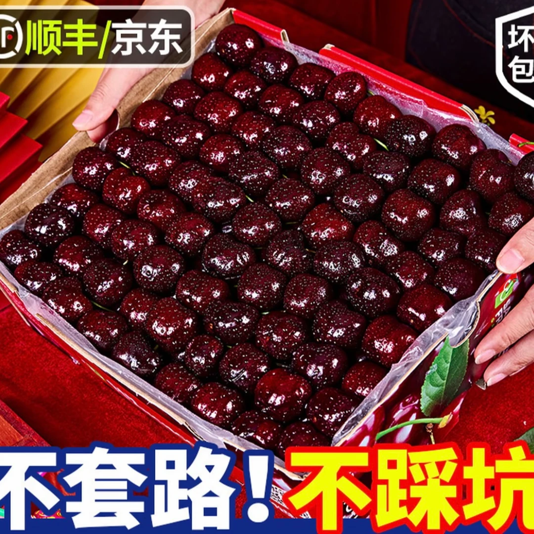 【顺丰京东】海运进口桑提娜车厘子净果5斤 3JD内附果径卡4桑提娜樱桃智利共和国