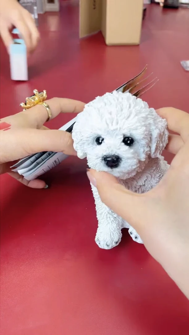 瓷片别算了真划算@@XQ2033