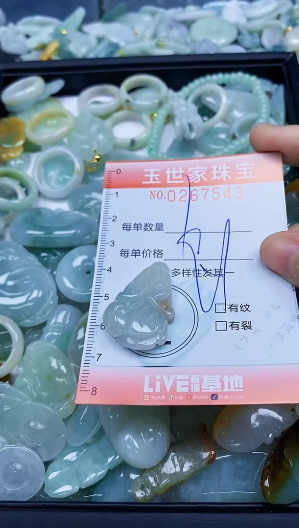 翡翠未镶嵌颈饰闪购0267543