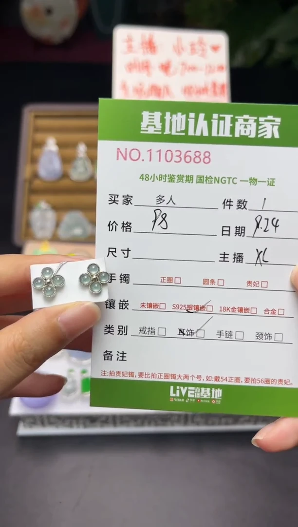 银S925镶嵌翡翠耳饰多人