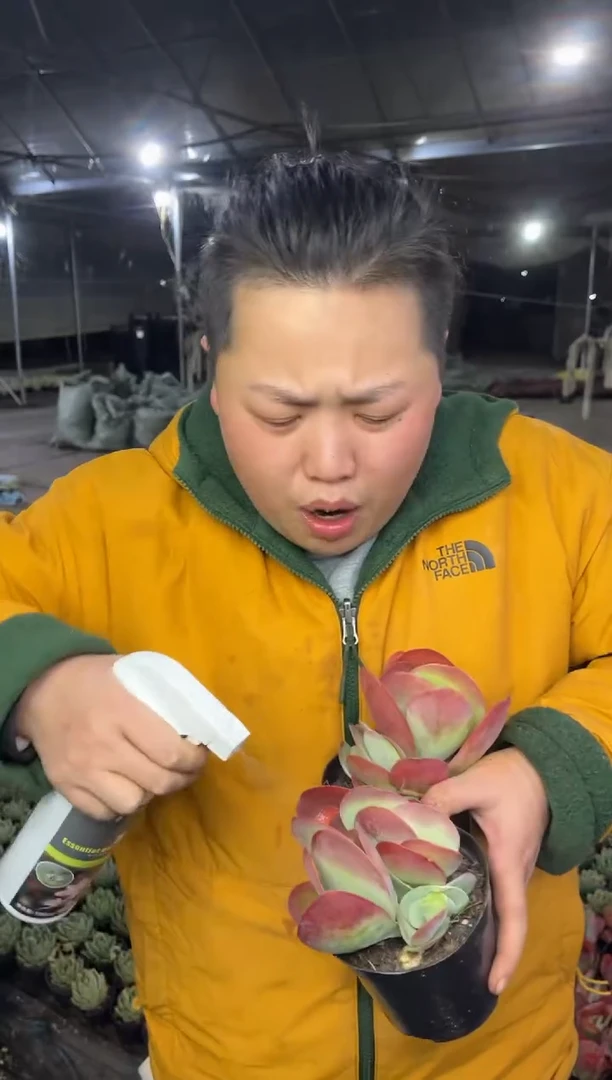 【闪购商品】21-唐印两颗5.8