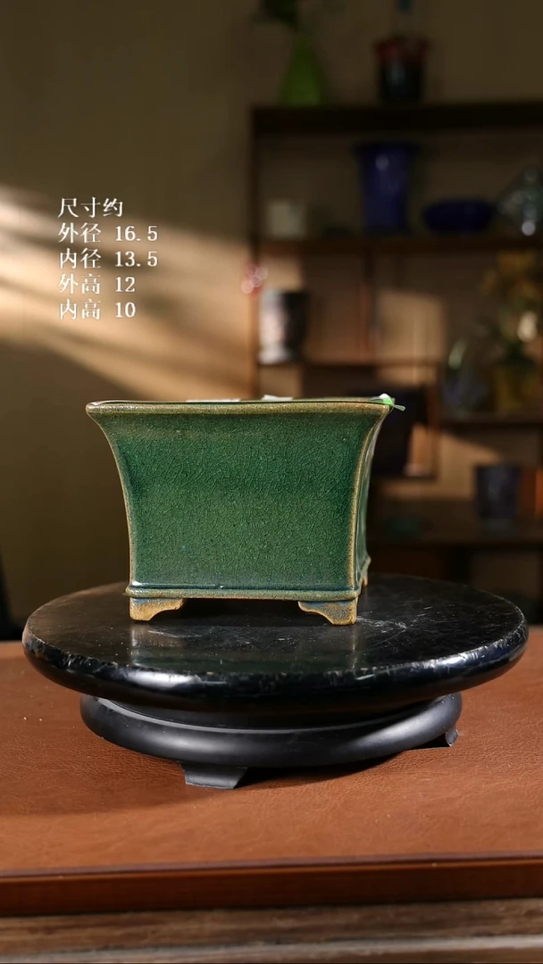 590  6寸飘口兰盆