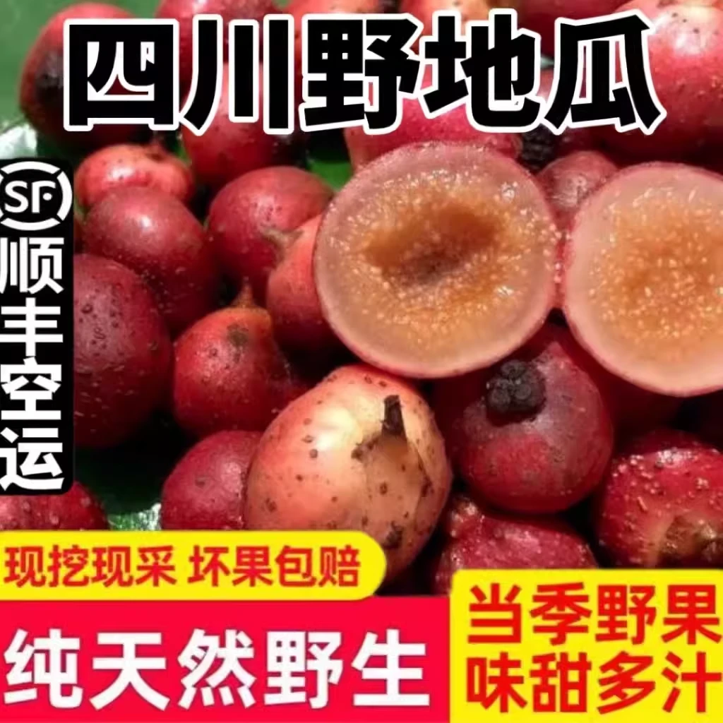 【顺丰空运】野地瓜果子四川野生小地瓜新鲜水果地枇杷石榴果零食