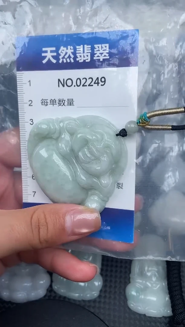 颈饰未镶嵌翡翠纯天然A货翡翠2249