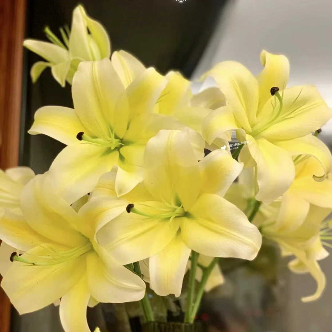 【大聪明卖花】黄天霸香水百合云南直发鲜花家居水养鲜花花束客厅