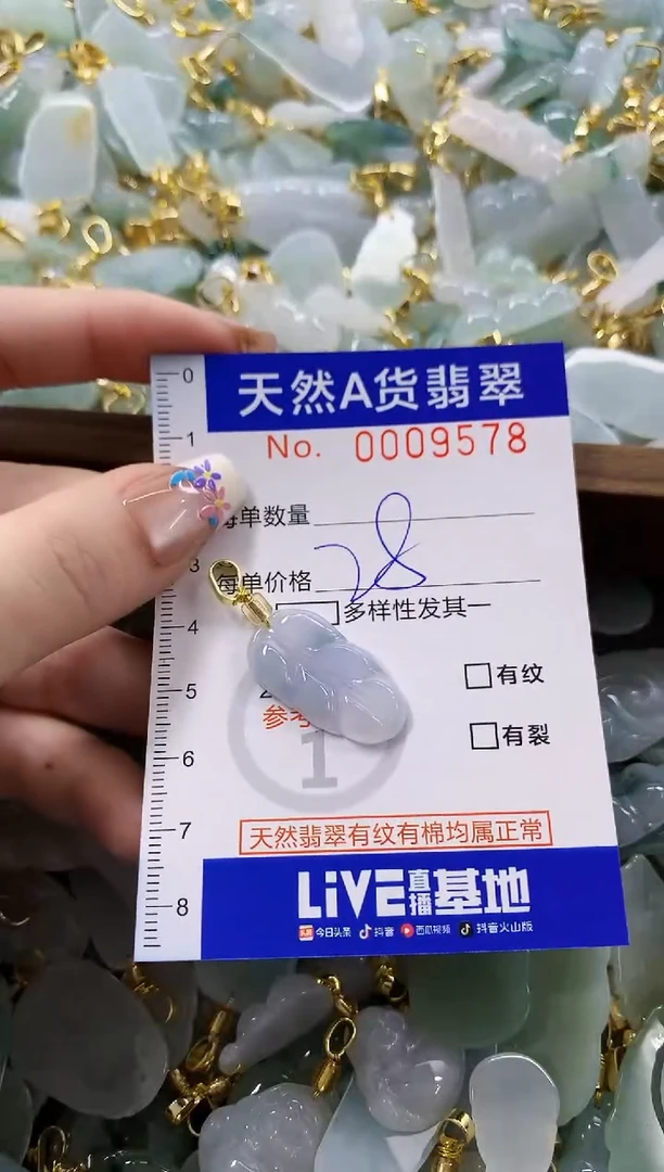 颈饰未镶嵌翡翠P***y天然A货翡翠