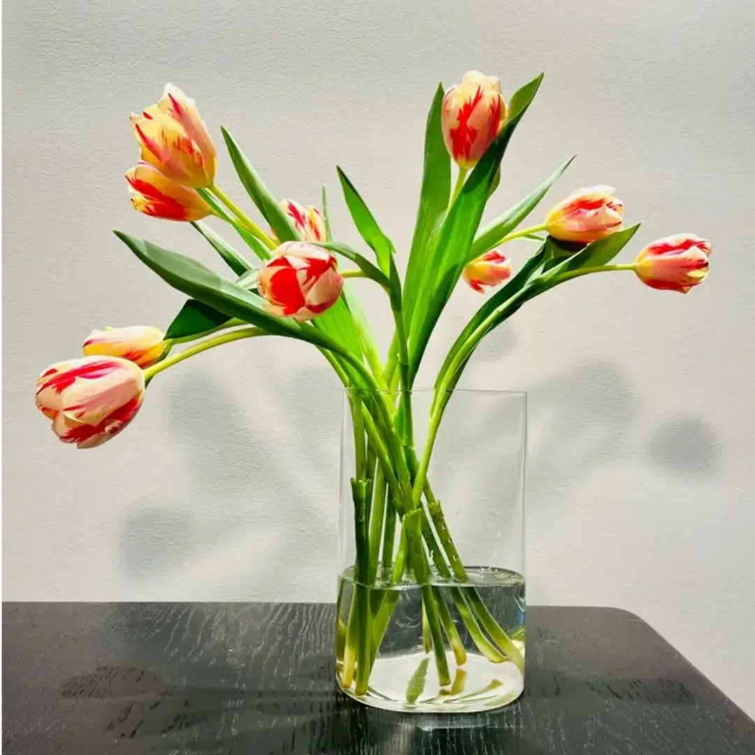 西里弗透明花瓶浇花器插花凉水壶多用途洒水摆件插花瓶轻奢高级感