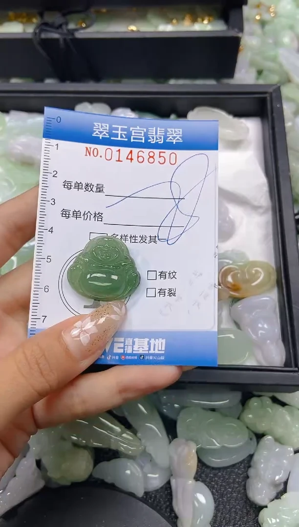 翡翠未镶嵌颈饰闪购0146850