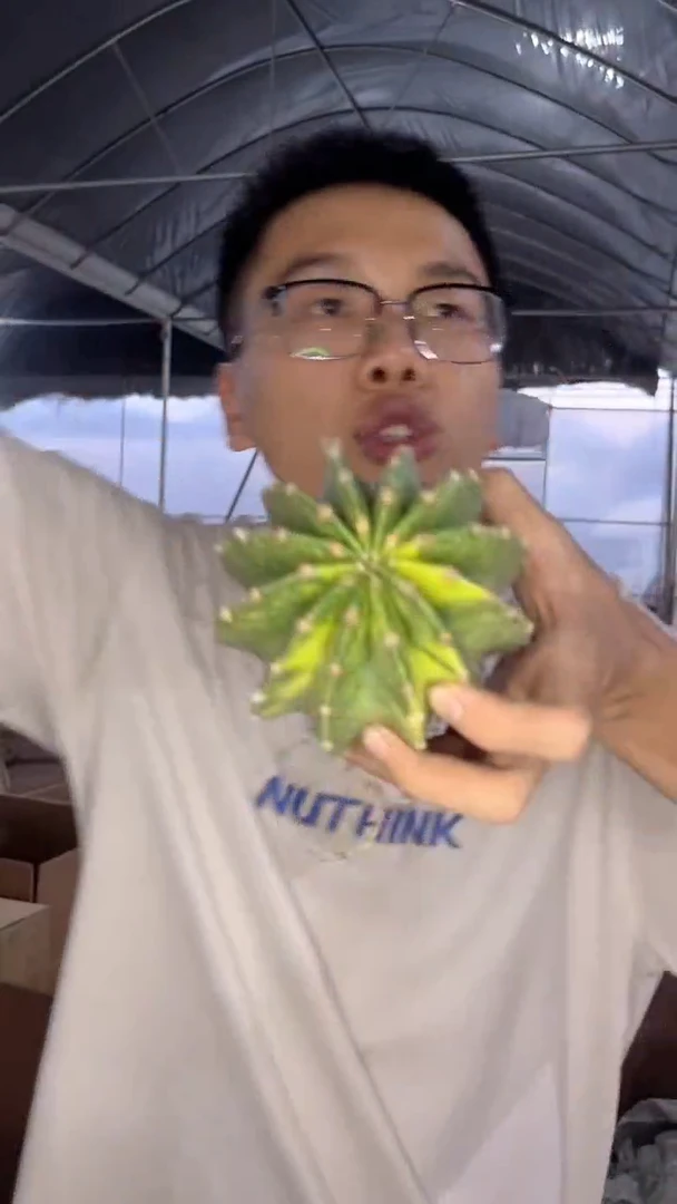 世界 图锦【实生根】