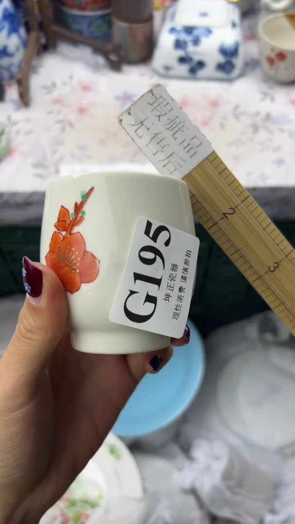 瓷片          G195