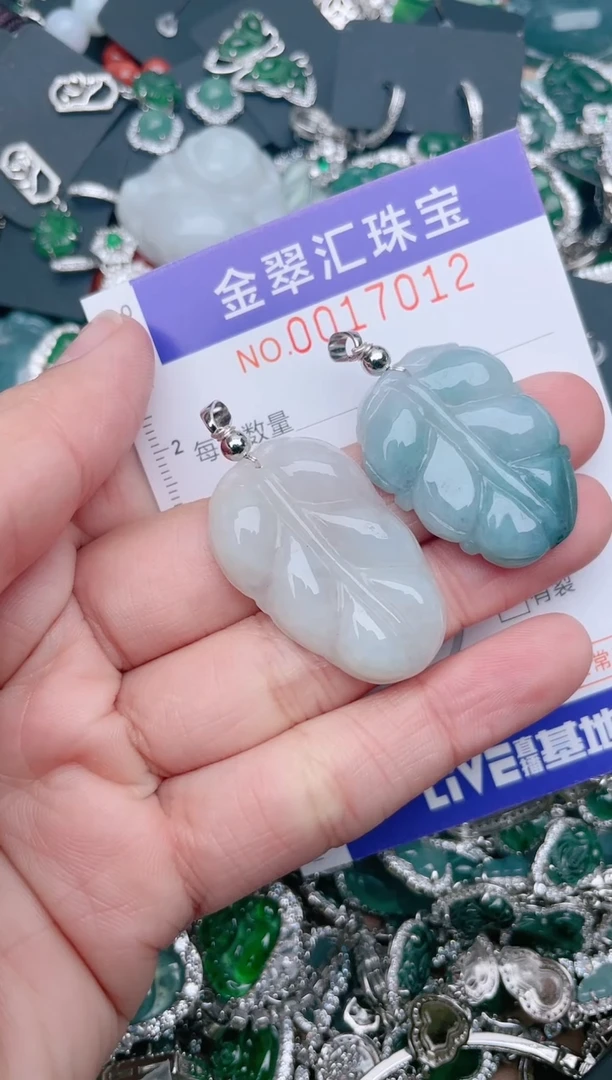 【闪购商品】翡翠颈饰未镶嵌17012.......1