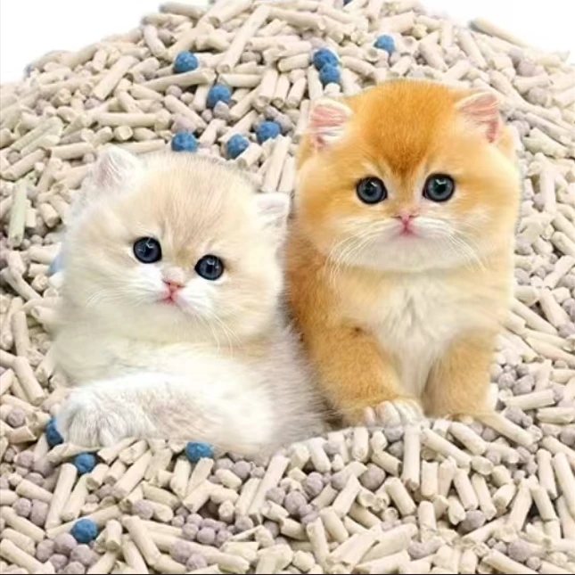 五十二猫猫直播专用链接猫砂除臭豆腐砂不黏底